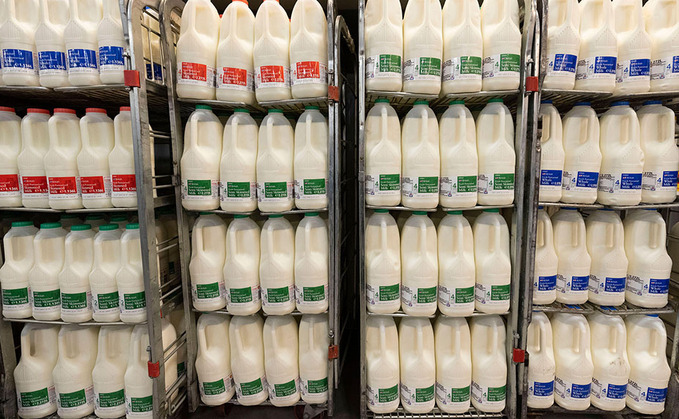 New year price drops for dairy