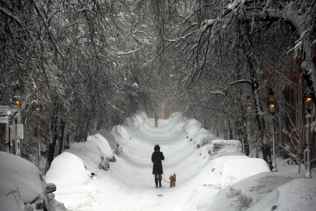 US sees over 14,000 flight cancellations as winter storm intensifies