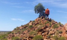  Killi is taking a systematic overview of West Tanami