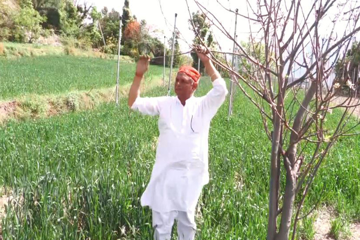 Jammu and Kashmir: 60-year-old farmer transforms six kanals into thriving apple hub