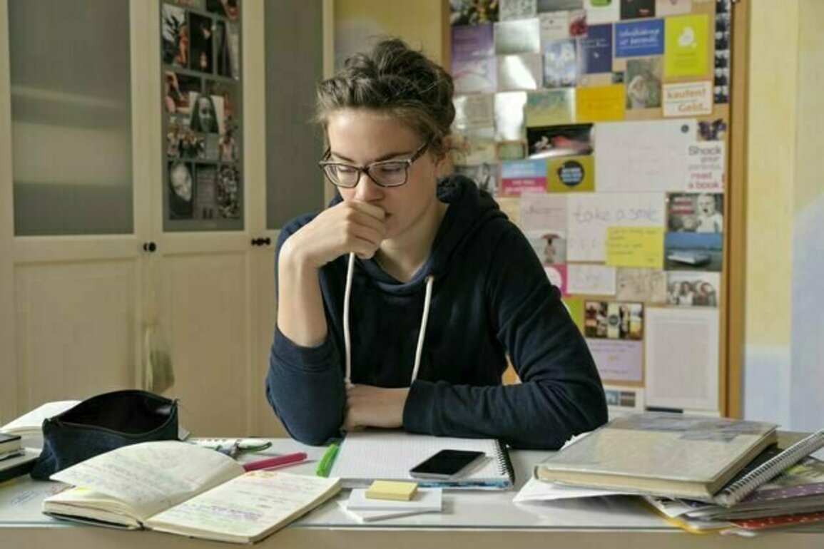 New research shows Year 12 students face many pressures - far beyond study and exams