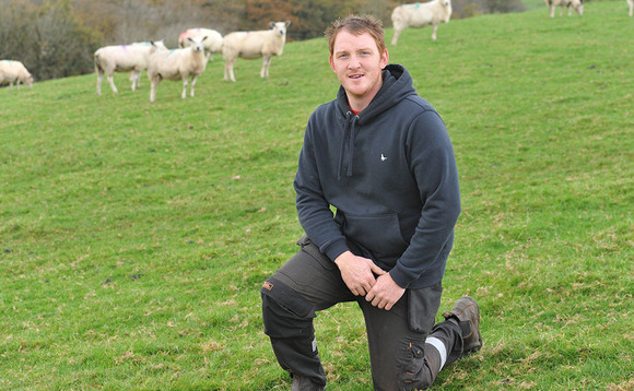 Improvements to flock productivity help sheep farm with carbon efficiency