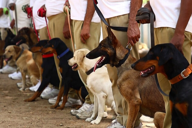 Gujarat Police K9 Unit becomes more lethal: 'Super Dogs' against terror, drugs