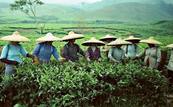 Portfolio: CLSA Capital Partners and Indonesia's Sari Wangi