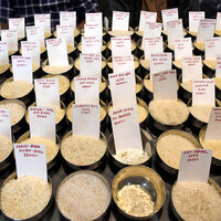 IREF urges Finance Minister to boost rice exports, farmer incomes in Union Budget 2026
