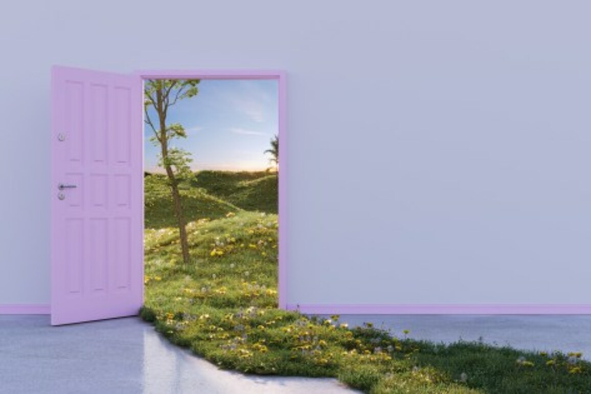 Google Antitrust Ruling- From Walled Gardens to Open Fields
