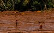 In 2019 270 people were killed in another dam collapse near the town of Brumadinho in Brazil, destroying 133 hectares of Atlantic Forest and 70 hectares of Protected Areas downstream.