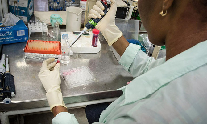 Blood test finds cancers before standard diagnosis Blood test finds cancers before standard diagnosis
