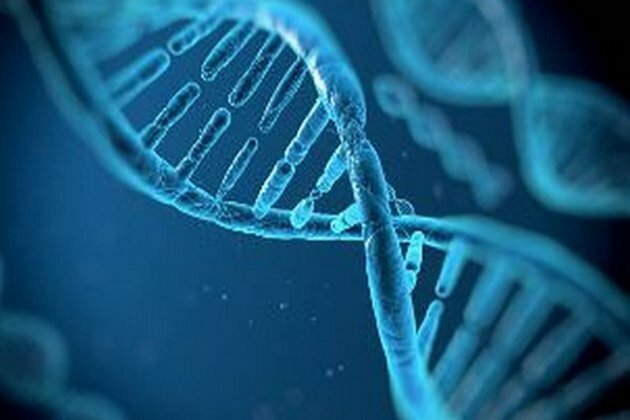 Gene responsible for increased risk of infantile fragility