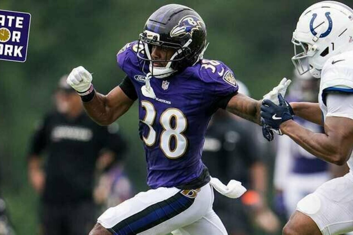 Late for Work: Pundits React to Ravens' Roster Cuts
