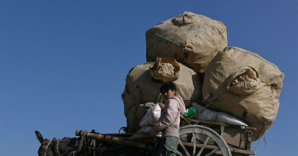 Afghanistan-Iran trade tops billion, boosting provincial economies Afghanistan-Iran trade tops billion, boosting provincial economies