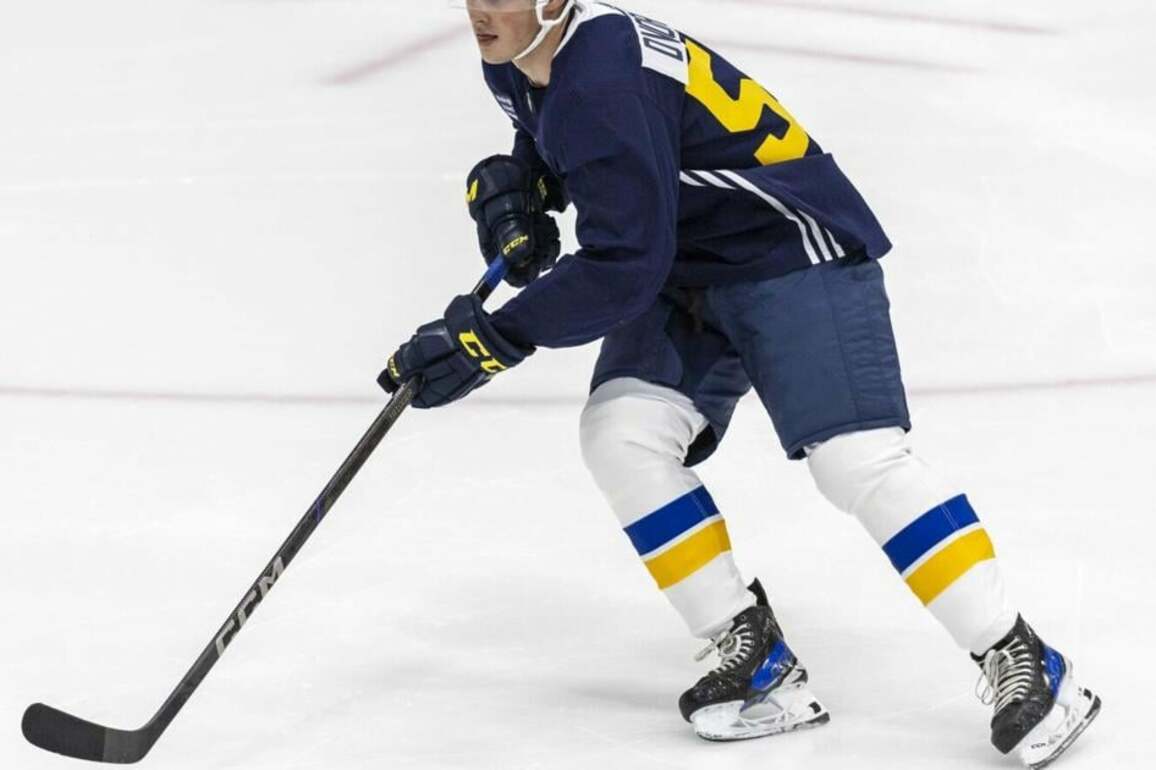 Blues recall prospect Dalibor Dvorsky from AHL affiliate Springfield