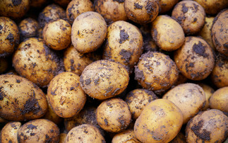 Russia faces potato shortage