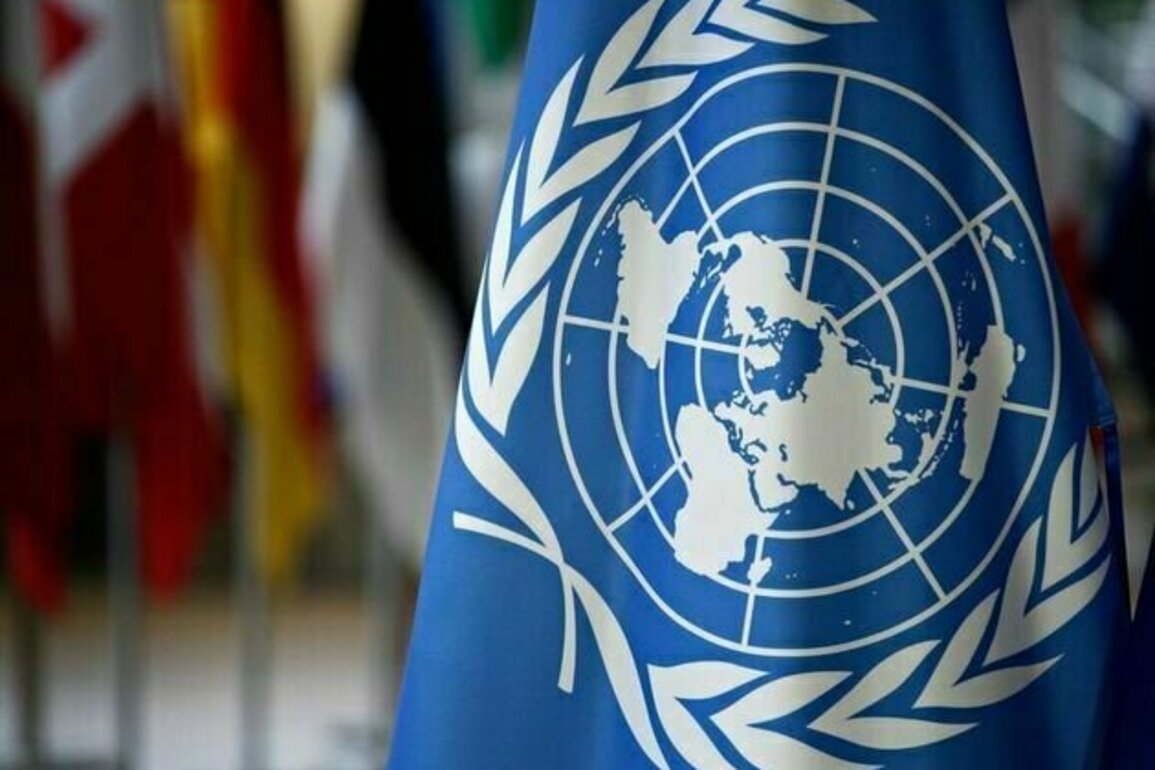 Israeli settlement activity accelerates in West Bank, Security Council told