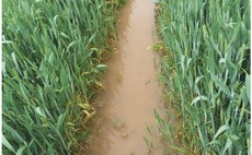 Benefits of sensor technologies for water management on farm