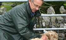 Inquest reveals Welsh farmer was found dead in a slurry tank