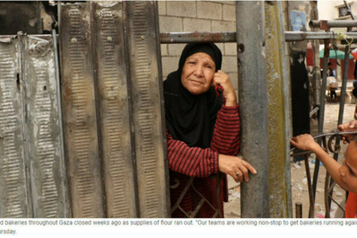 Gaza: Canadians for Justice and Peace in the Middle East (CJPME) welcomes statement by Canada