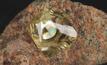  A yellow diamond from the Kimberley