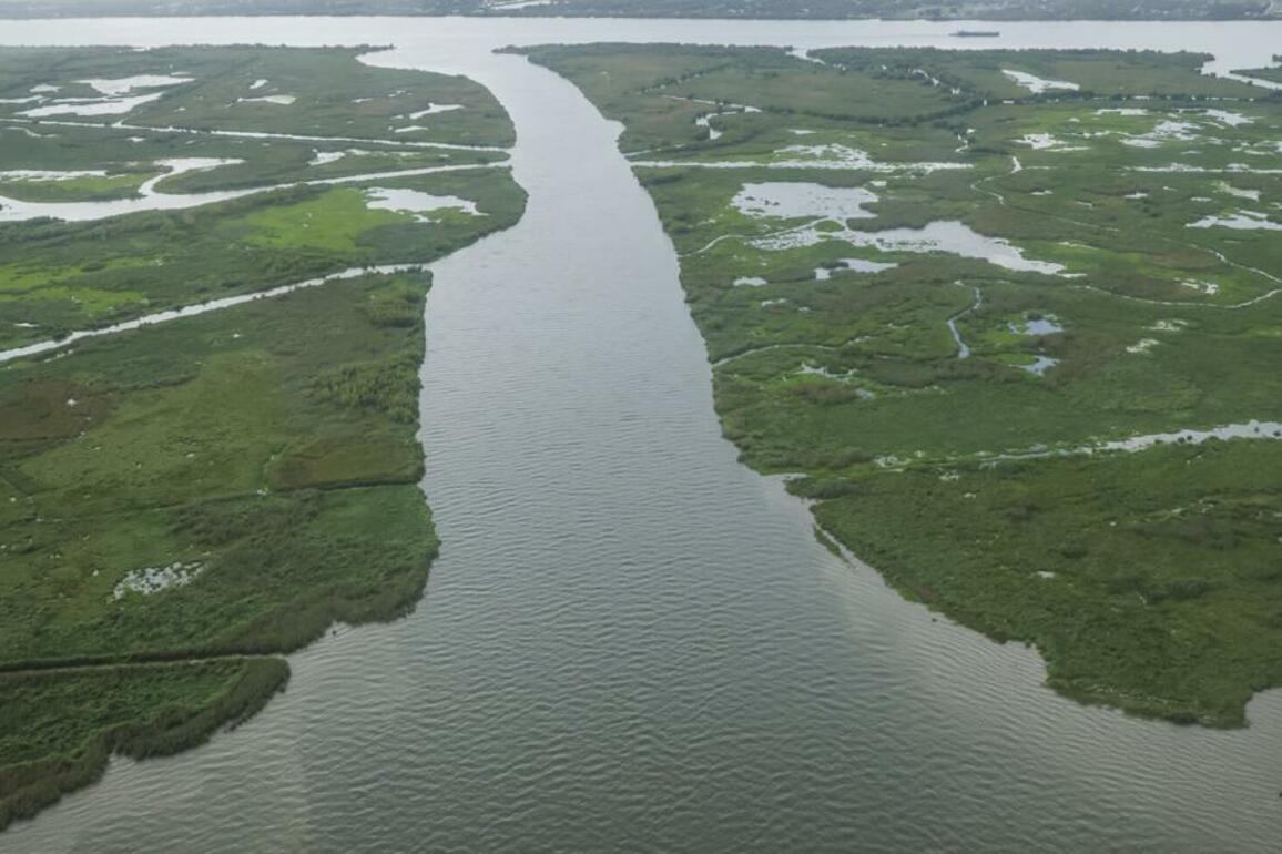 Break in the Mississippi's banks building new land- study