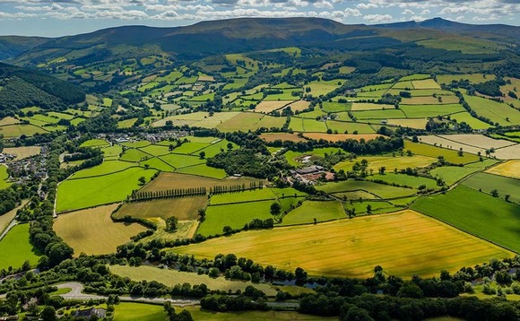 Farm groups warn UK-EU trade war would be 'devastating' for farmers