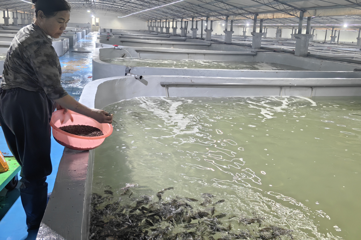 CHINA-SHANDONG-CHENGKOU-SEAWATER DESALINATION (CN)