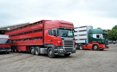 'Neutral time must remain' under proposed livestock transport reforms, warns LAA 