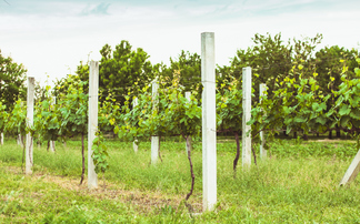 Poll: Brits of 'all political stripes' are nature-lovers