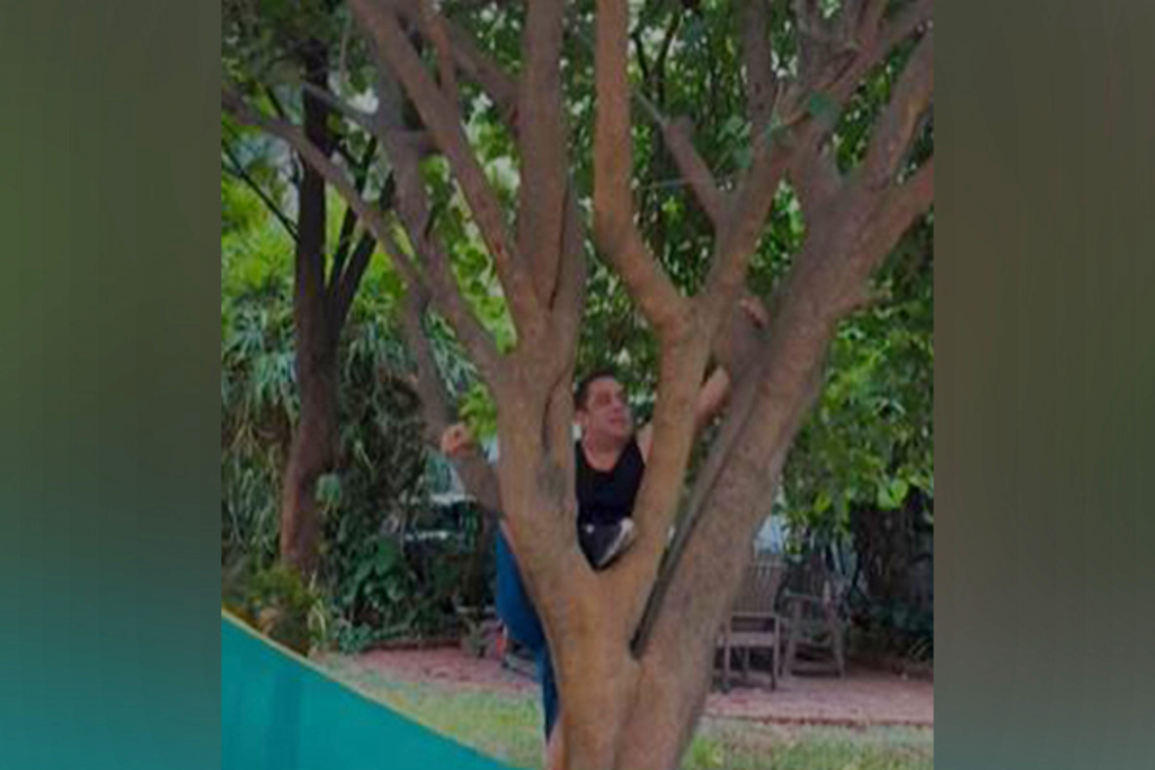 Salman Khan effortlessly climbs tree, shuts down trolls for questioning his fitness