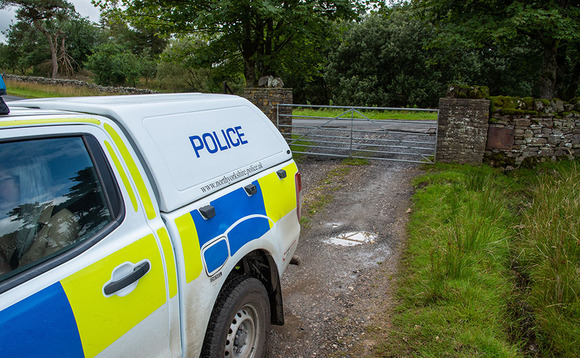 Police investigating after sheep run over and set alight