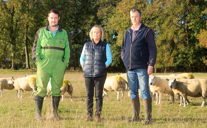 All set for the Royal Welsh Winter Fair