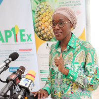 BENIN-ALLADA-PINEAPPLES-EXPORT-CHINA
