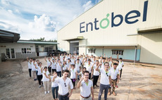 Mekong invests $25m in Vietnam insect feed company  