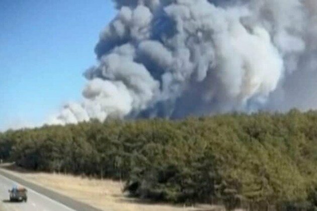 Wind-driven brush fire in New York 50% contained 