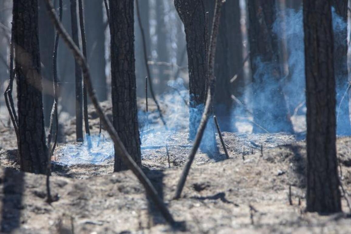 U.S. wildfires rage as firefighter dies in emergency situation