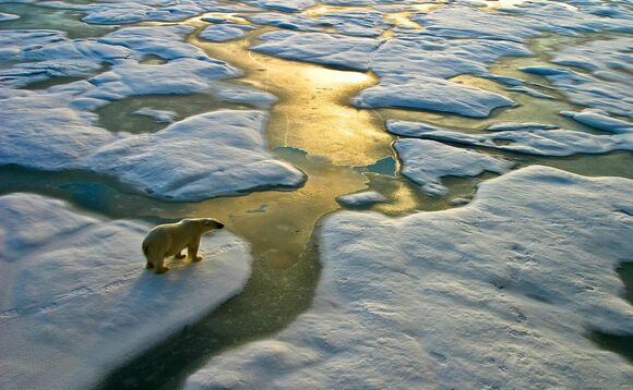 UN: Investment in battling climate change to decline