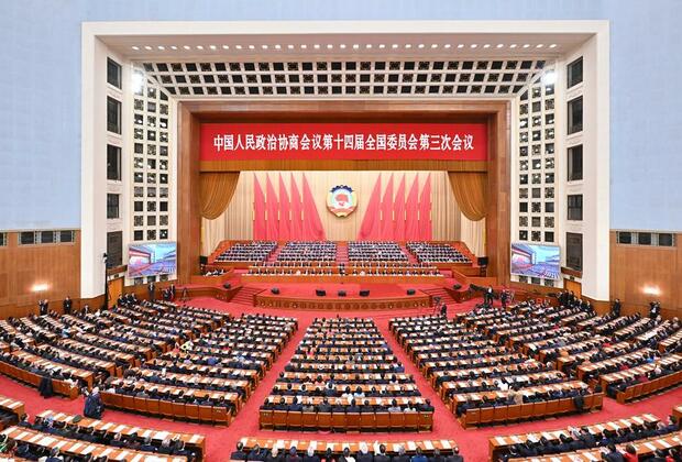 InPics: China's top political advisory body holds closing meeting of annual session