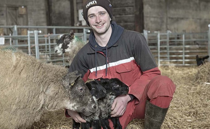 BEEF SPECIAL: Breeding commercial livestock at heart of new enterprise