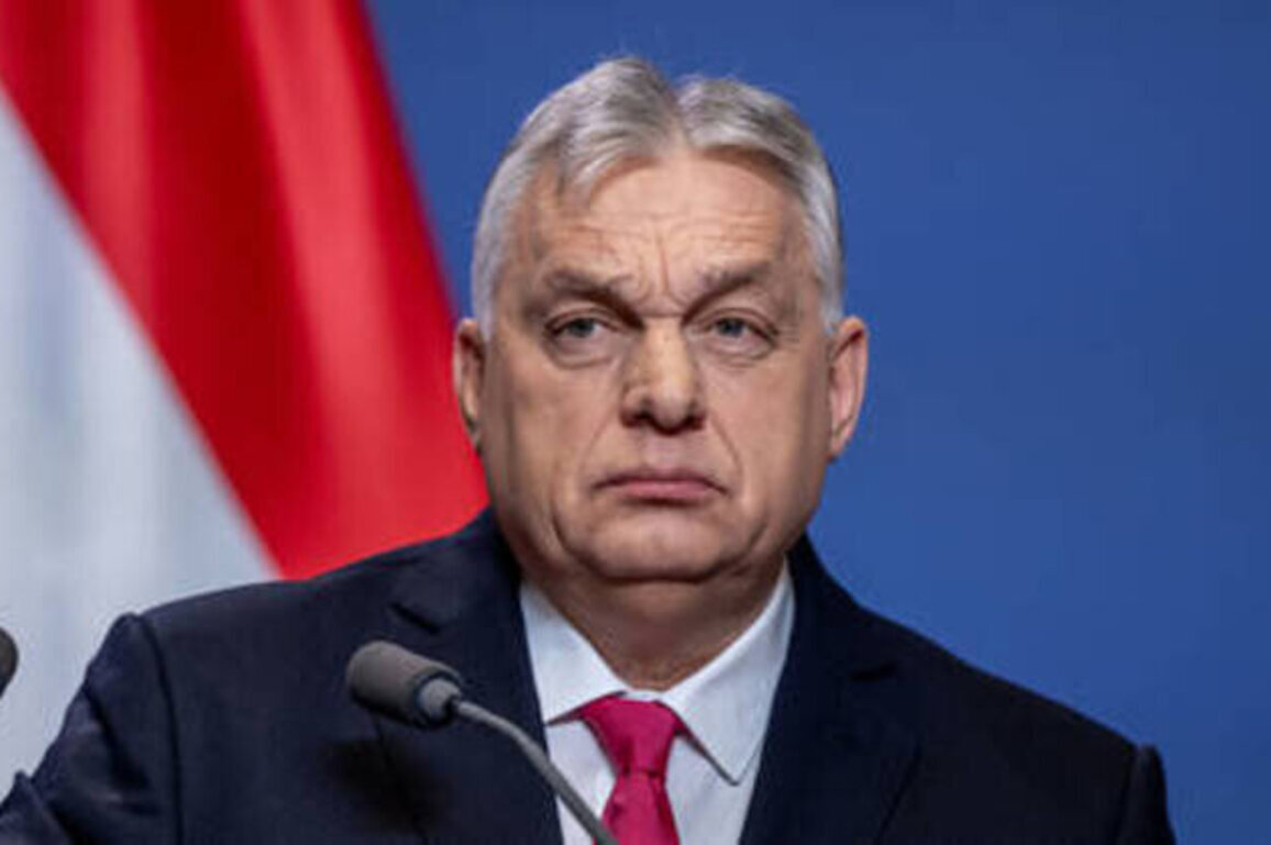 Orban responds to Zelensky's 'death threat'