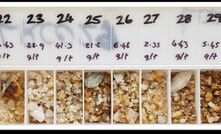  RC chips from drilling at Kingston's Livingstone project