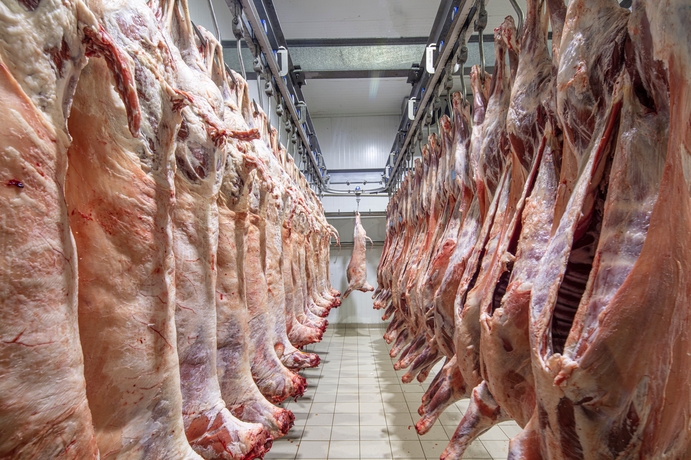 A WA abattoir has closed and Labor's live sheep export policy is coping the blame. 