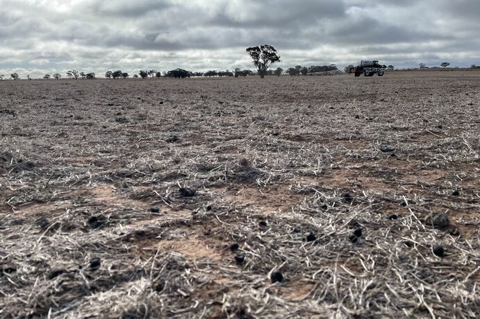 Rainfall last month was appreciated but many south-eastern regions of Australia will still struggle to reach average crop yields.  