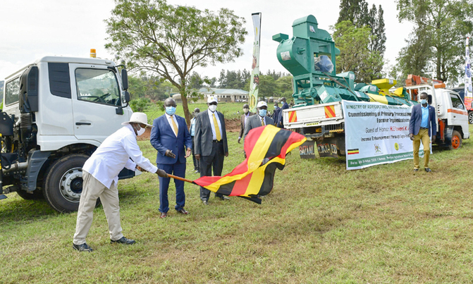Museveni tells ministry to invest in indigenous seed multiplication Museveni tells ministry to invest in indigenous seed multiplication