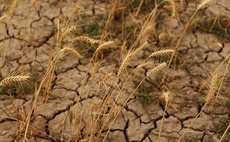 'Major leap forward': AXA-backed climate insurance to protect up to 300,000 farmers