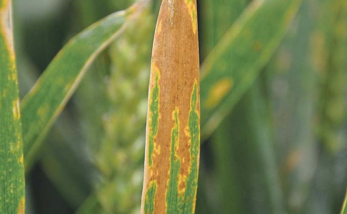 Fungicide with Inatreq active gains UK approval
