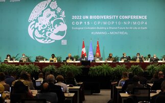 View of the dais during the COP15 opending plenary on December 6 | Credit: IISD/ENB