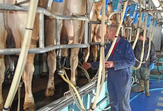 '²ÝÁñÉçÇø may expect a bumpy ride' - Global milk supplies race ahead