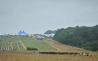 Groundswell 2025: Is grazing livestock key to soil health?