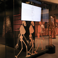 SOUTH AFRICA-GAUTENG-"CRADLE OF HUMANKIND"