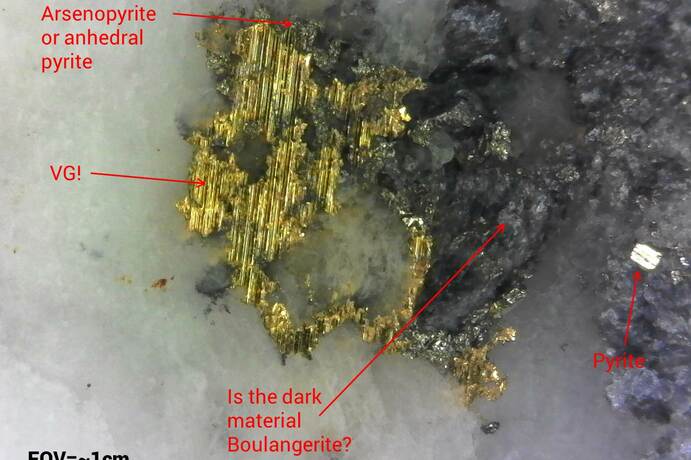 Visible gold from New Found Gold's Queensway discovery in Newfoundland, Canada