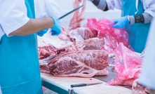 July saw an above average slaughter rate with 700,000 head processed.